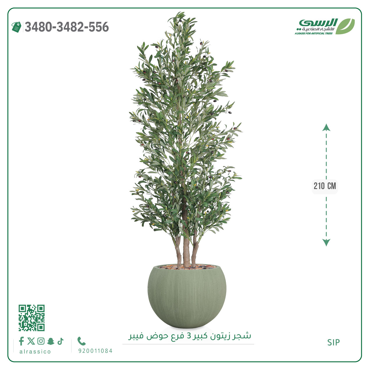  شجرة زيتون صناعية (ارتفاع 210 سم) حوض فيبر 