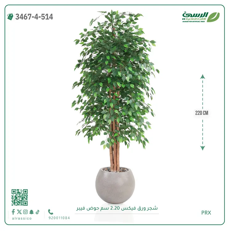  شجر فيكس صناعية (ارتفاع 220 سم) حوض فيبر 