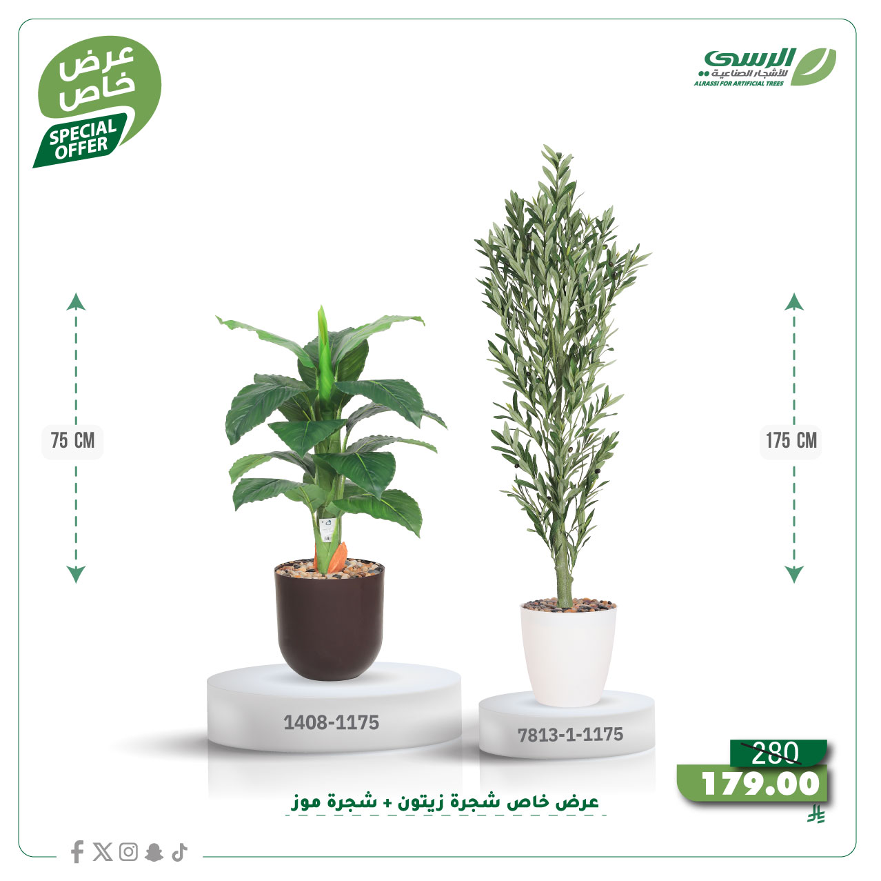  عرض شجرة زيتون صناعية ( ارتفاع 175 سم ) + شجرة ورق موز صناعية ( ارتفاع 75 سم ) حوض بلاستيك 