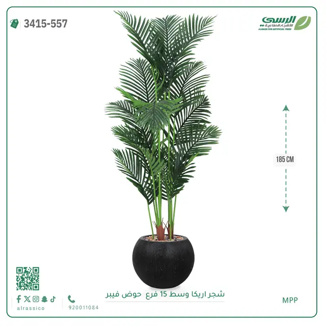  شجرة أريكا صناعية 15 فرع (ارتفاع 185 سم) حوض فيبر 