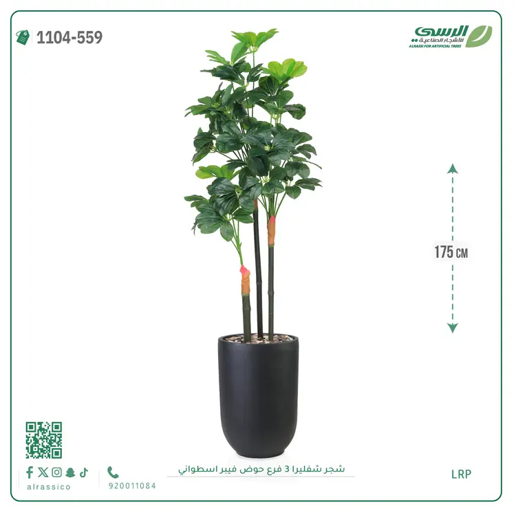  شجرة شيفليرا صناعية (ارتفاع 175 سم) بحوض فيبر 