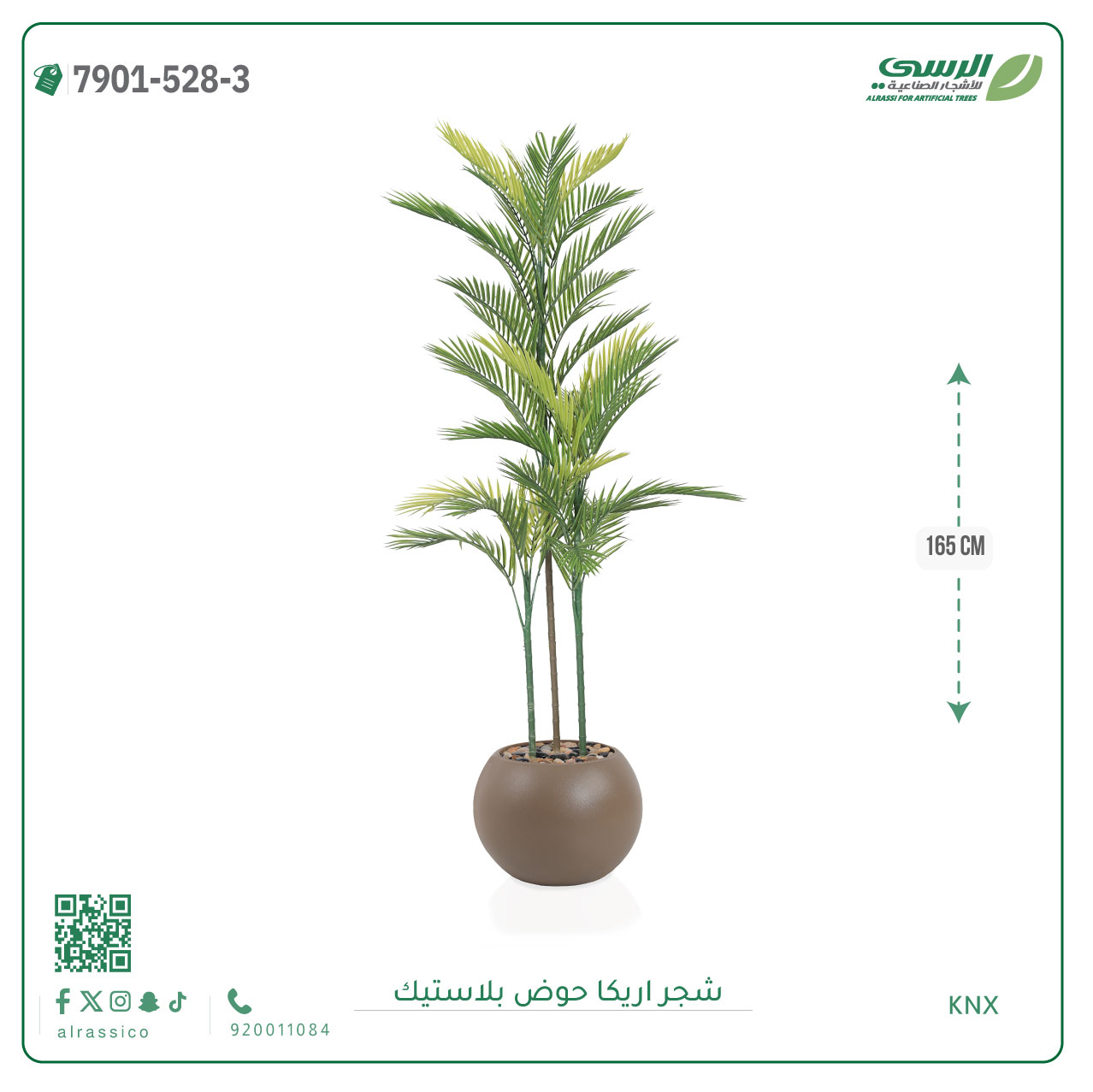  شجرة اريكا صناعية ( ارتفاع 165 سم ) حوض بلاستك 