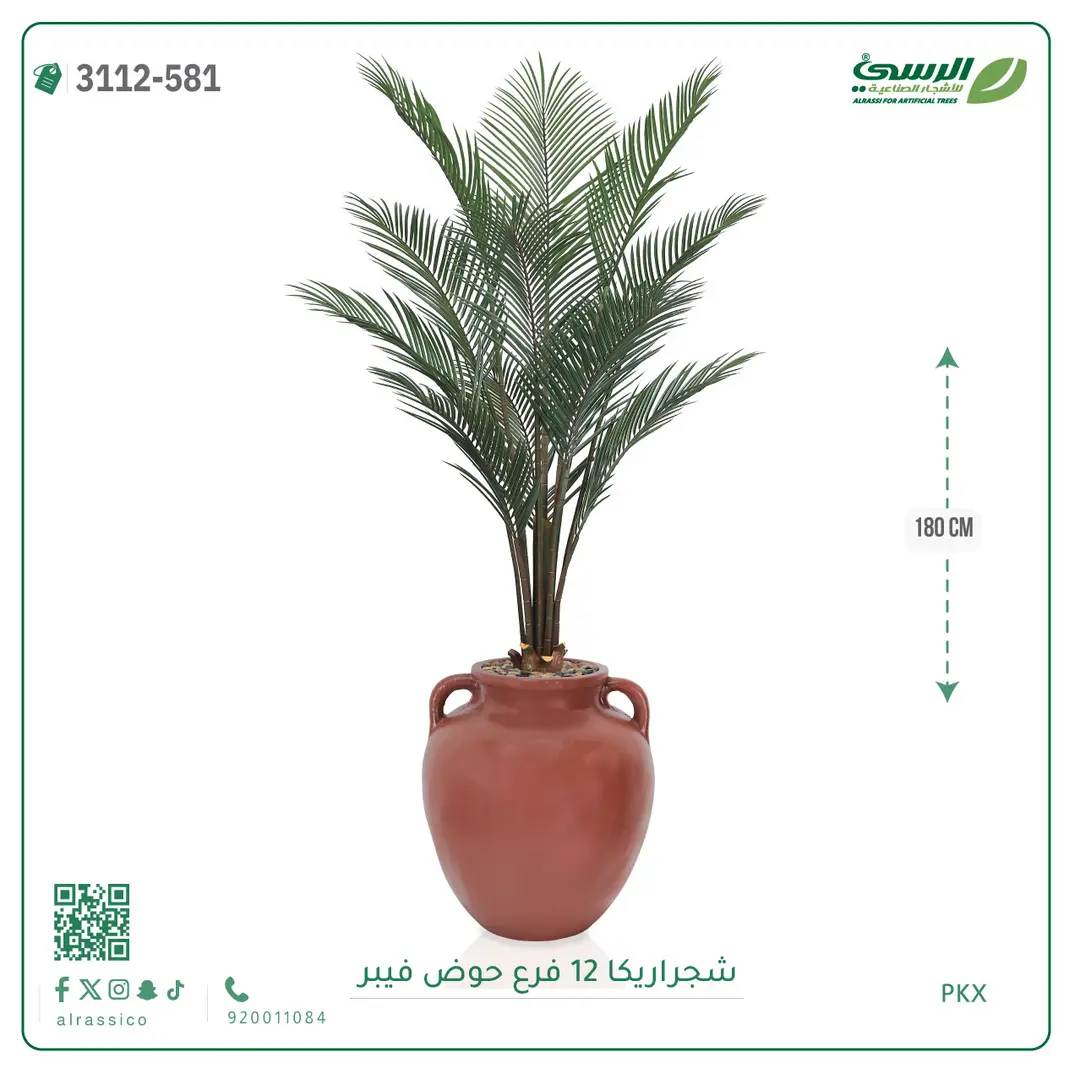  شجرة أريكا صناعية 12 فرع (ارتفاع 180 سم) حوض فيبر 
