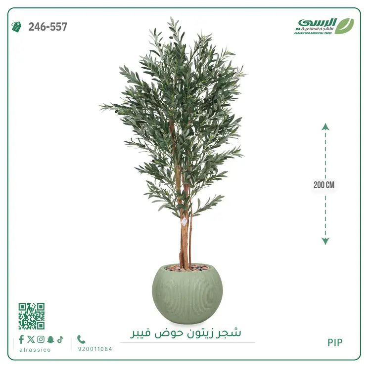 شجر زيتون صناعية ( ارتفاع 200 سم ) حوض فيبر 