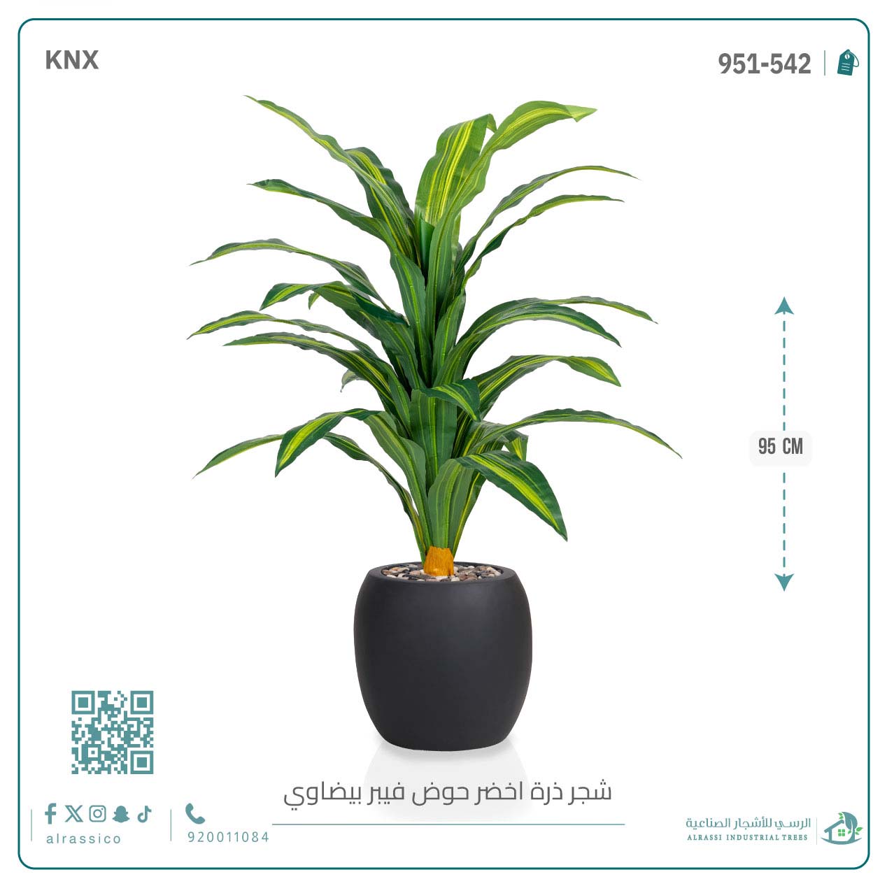  شجرة ذرة خضراء بمركن فيبر بيضاوى  