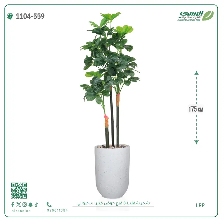  شجرة شيفليرا صناعية (ارتفاع 175 سم) بحوض فيبر 