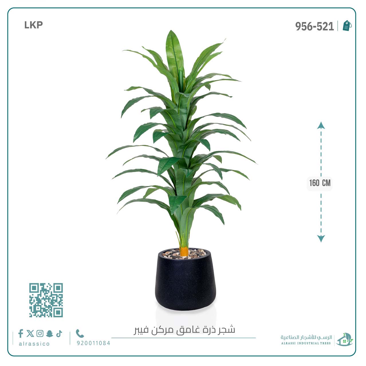  شجرة نبات الذرة (دراسينا) الاصطناعية بمركن فيبر بيضاوى 
