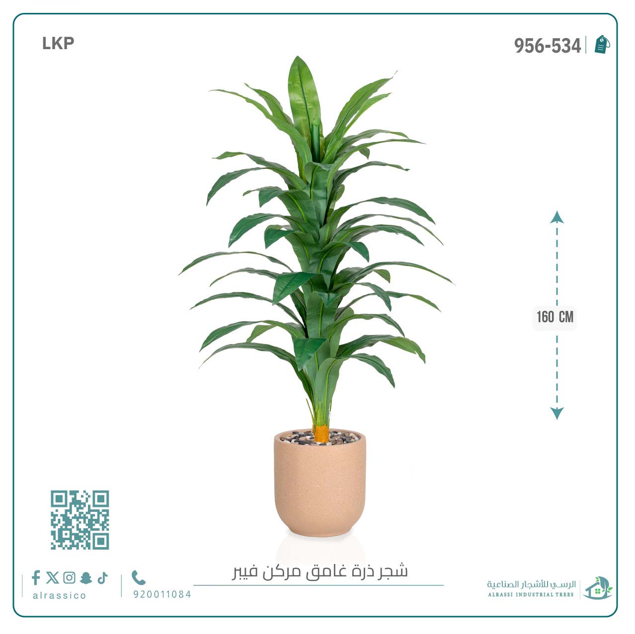  شجرة نبات الذرة (دراسينا) الاصطناعية بمركن فيبر أسطواني 