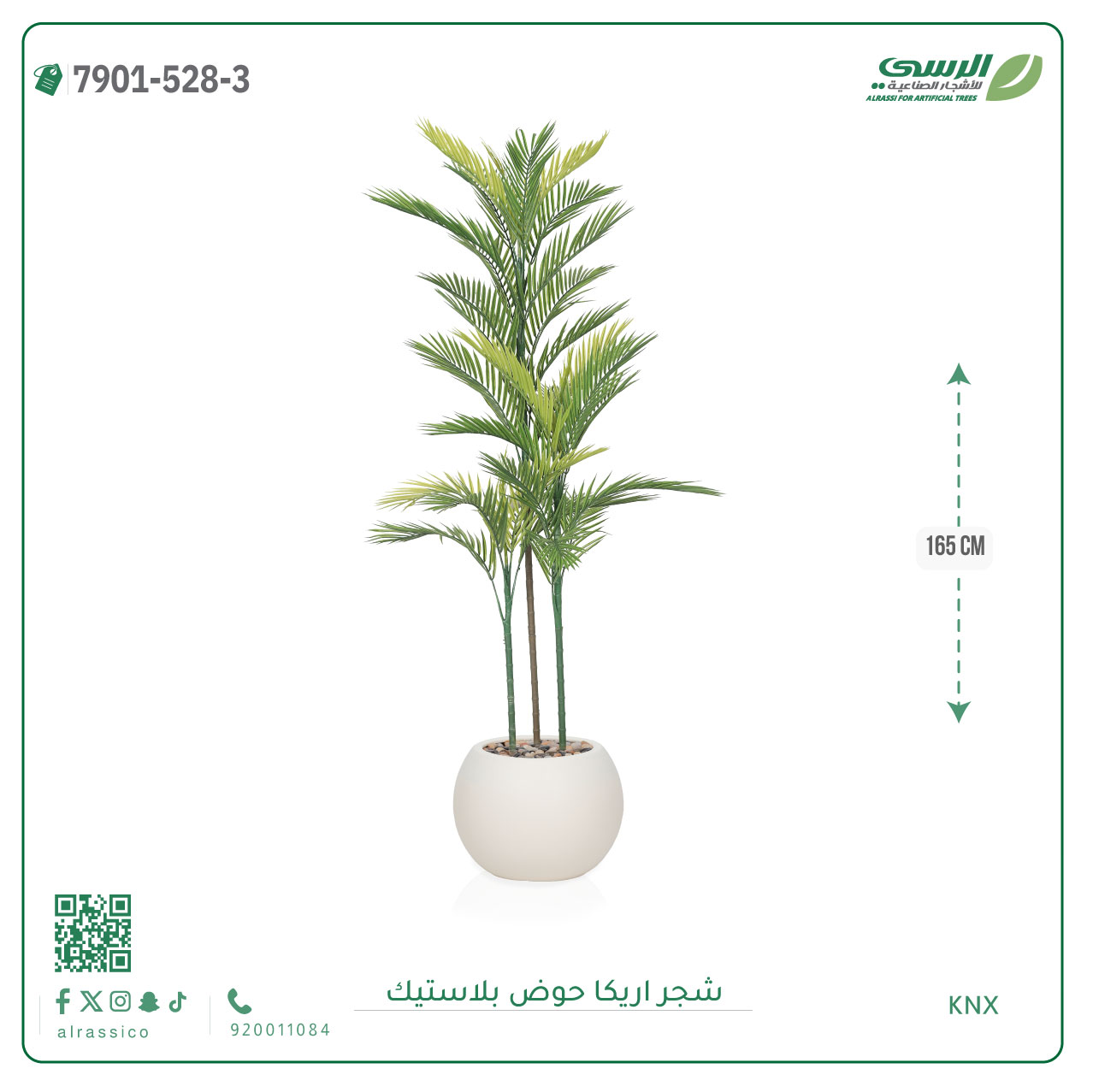  شجرة اريكا صناعية ( ارتفاع 165 سم ) حوض بلاستك 