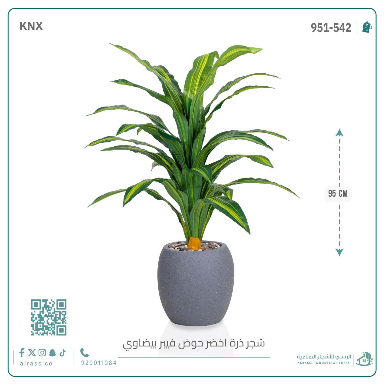  شجرة ذرة خضراء بمركن فيبر بيضاوى  
