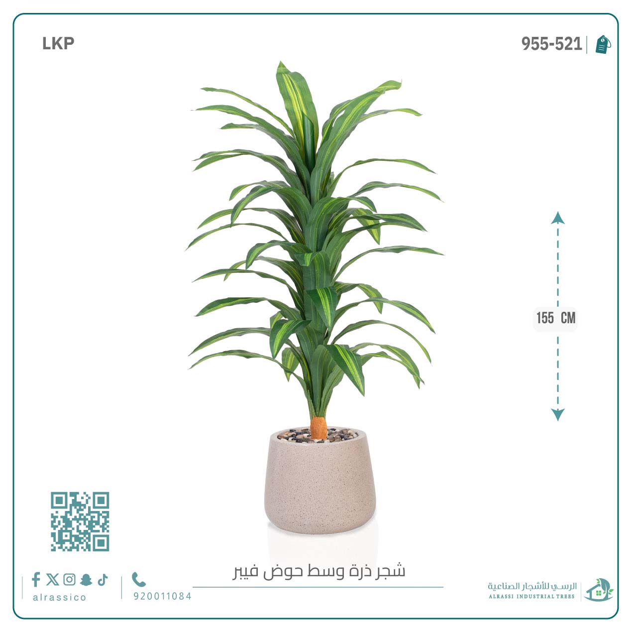 شجرة نبات الذرة (دراسينا) الاصطناعية كبيرة بمركن فيبر بيضاوى  