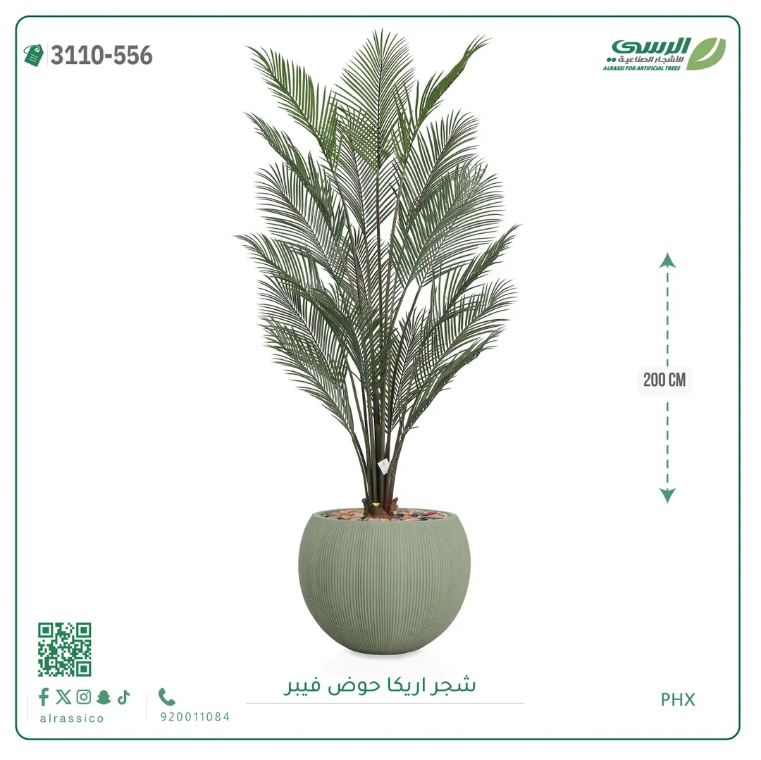  شجرة اريكا صناعية ( ارتفاع 200 سم ) حوض فيبر 
