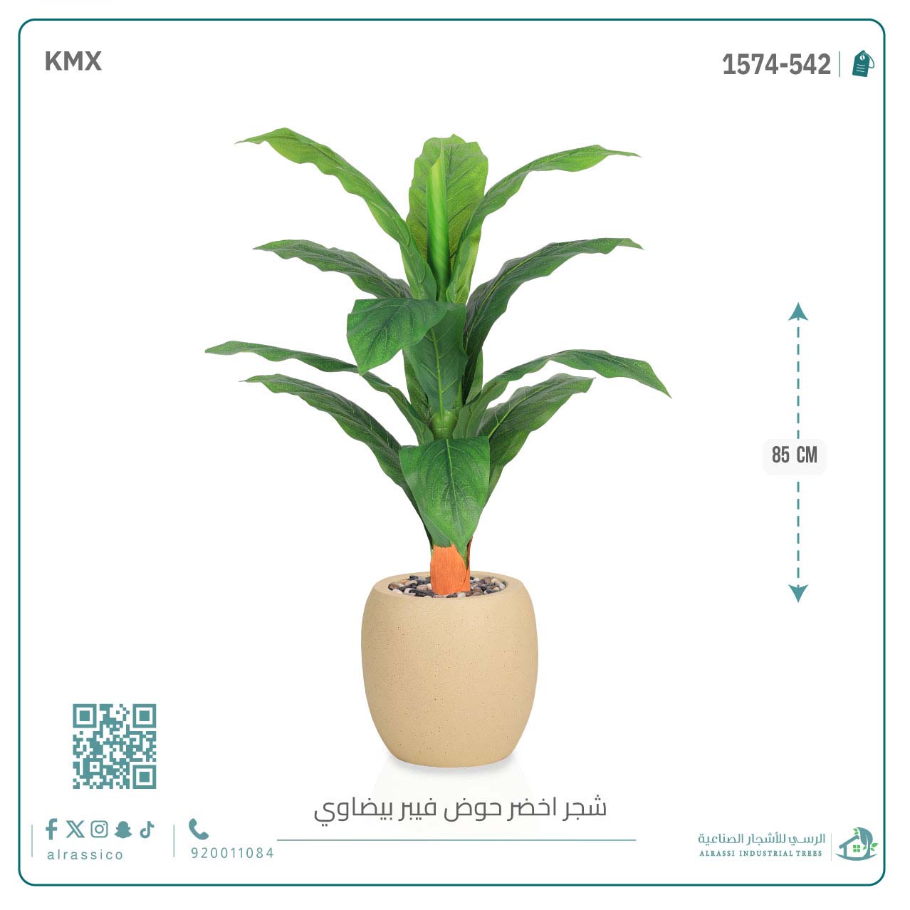  شجرة ورق موز حوض فيبر بيضوي 