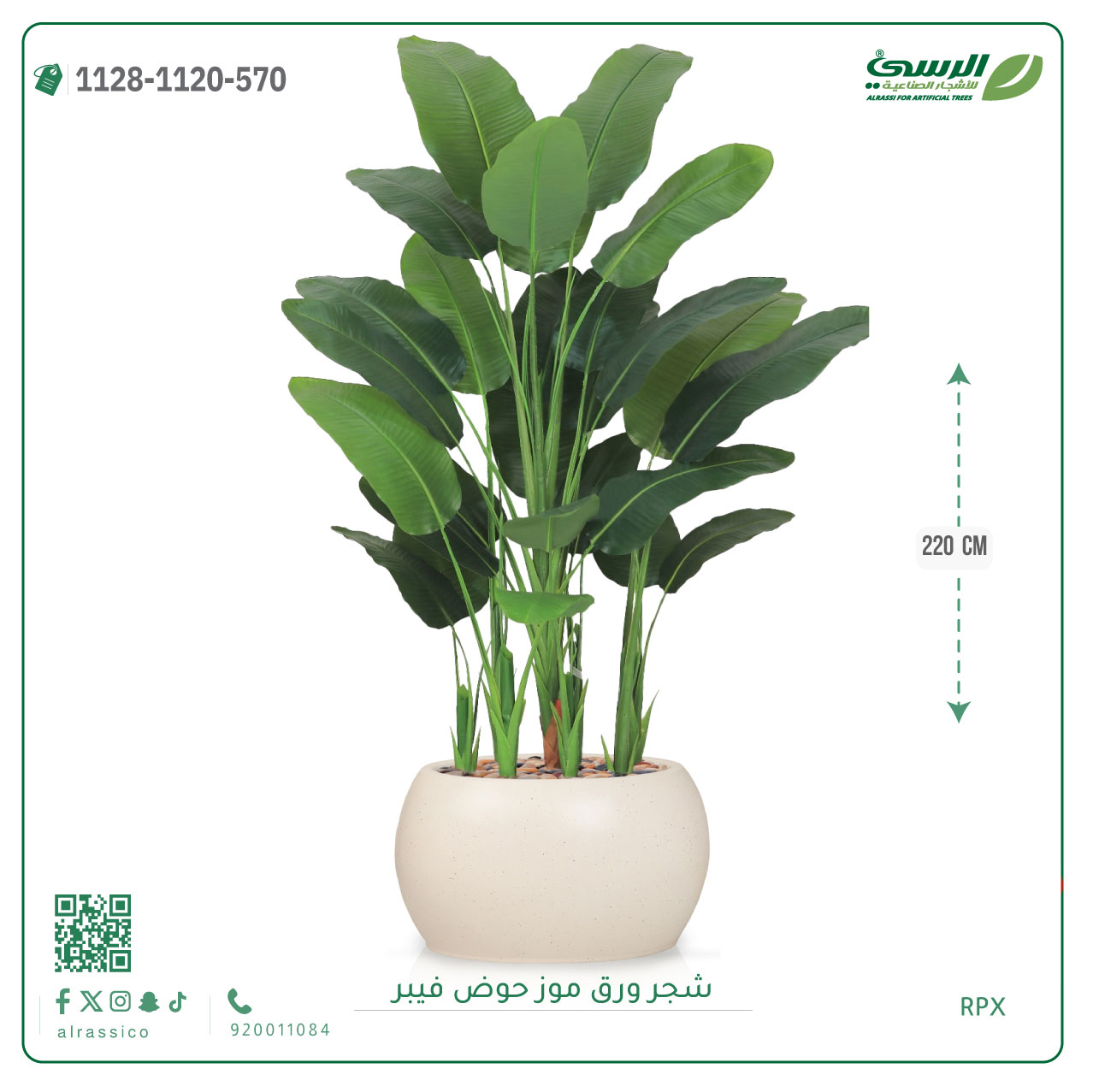  شجرة ورق موز صناعية ( ارتفاع 220 سم ) حوض فيبر 