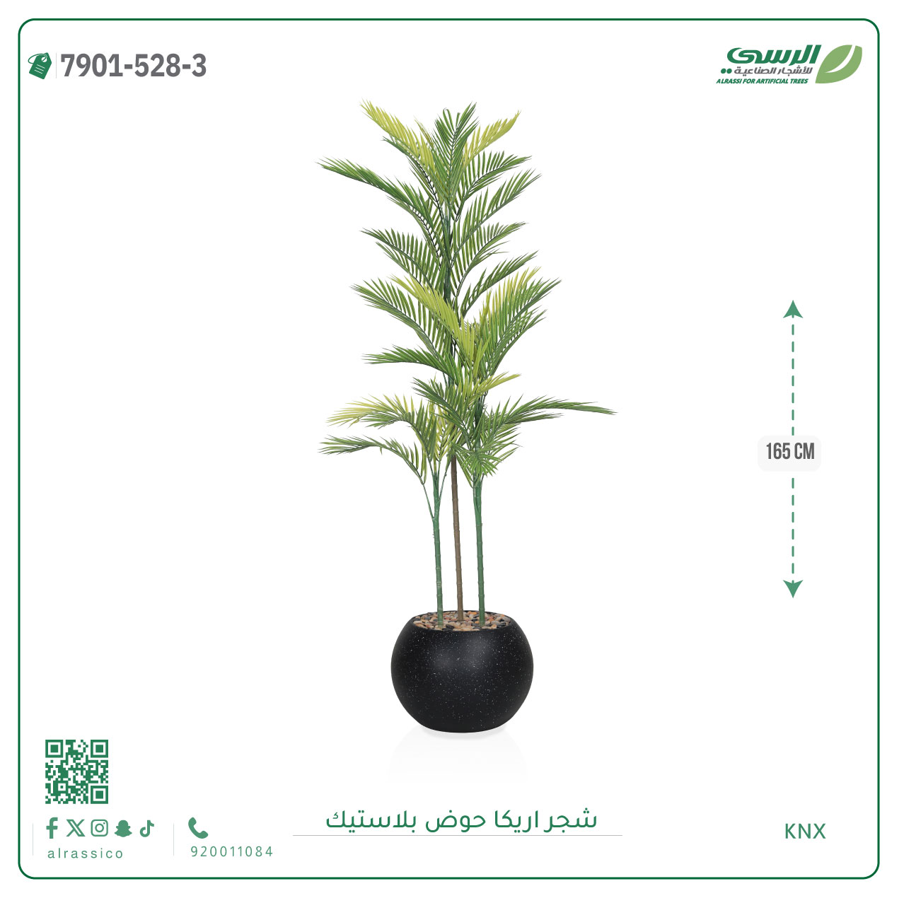  شجرة اريكا صناعية ( ارتفاع 165 سم ) حوض بلاستك 