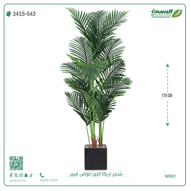  شجر أريكا صناعية ( ارتفاع 175 سم ) حوض فيبر 