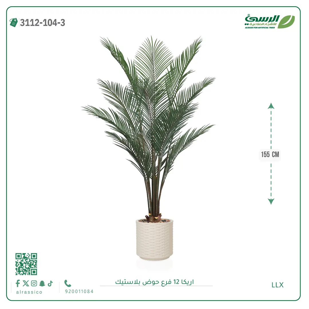  شجرة اريكا صناعية ( ارتفاع 155 سم ) حوض بلاستيك 