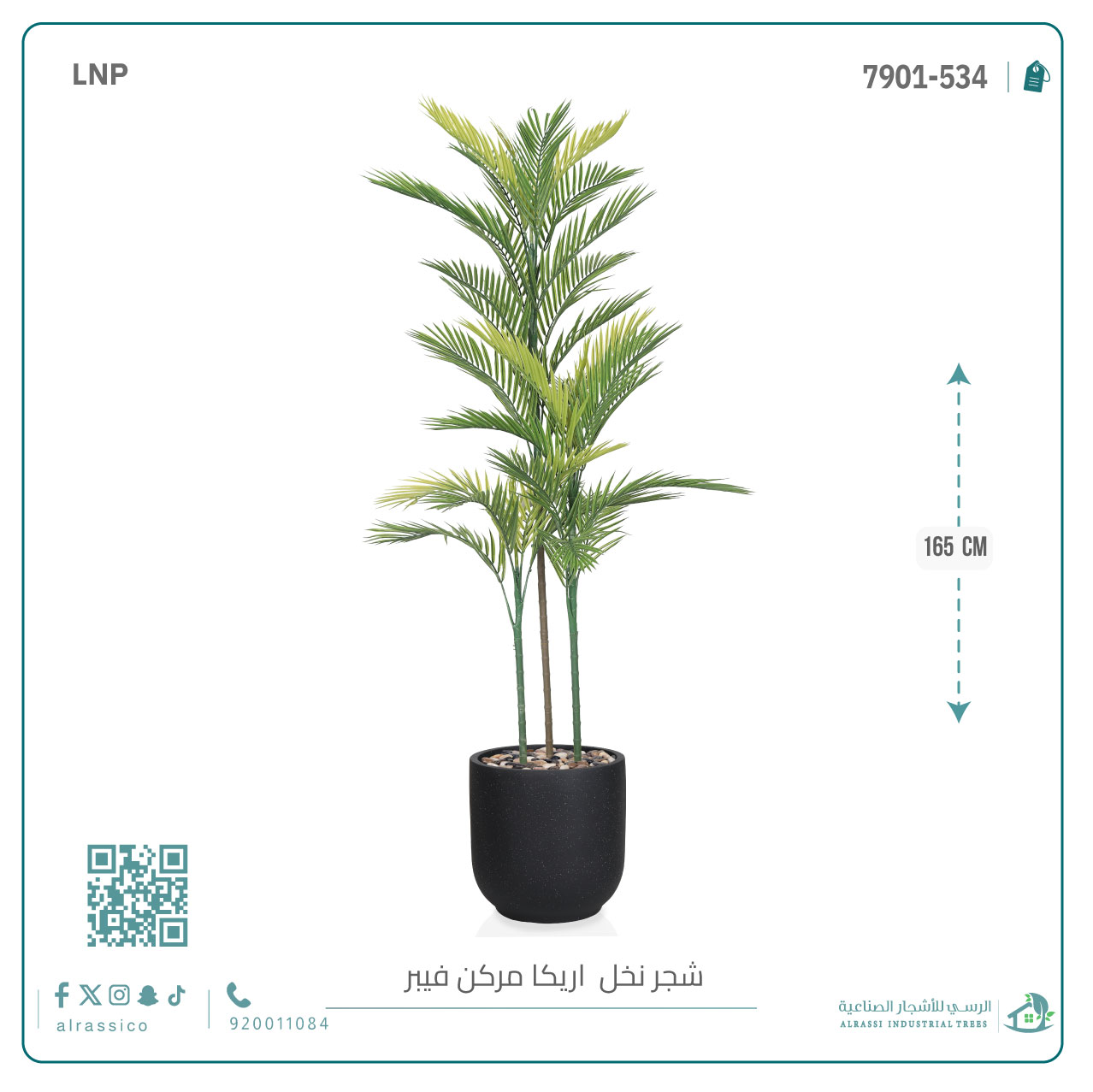  نخل أريكا اصطناعية (3 فرع) بمركن فيبر  أسطواني 