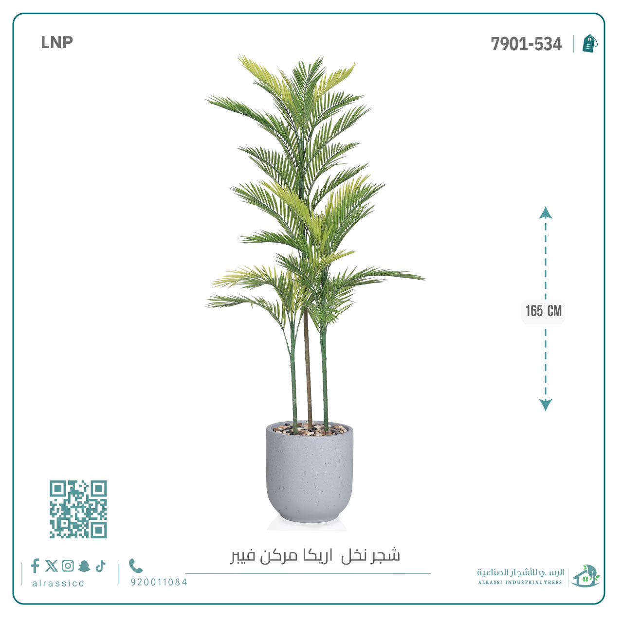  نخل أريكا اصطناعية (3 فرع) بمركن فيبر  أسطواني 