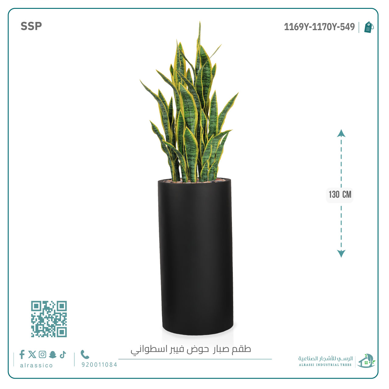   صبار سنسفيرا  أصفر (9 فروع) بمركن فيبر أسطواني 