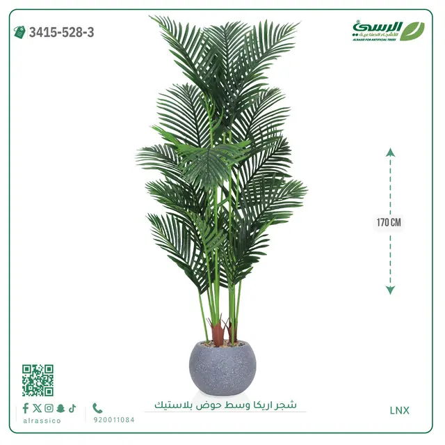  شجر أريكا صناعية ( ارتفاع 170 سم ) حوض بلاستك 