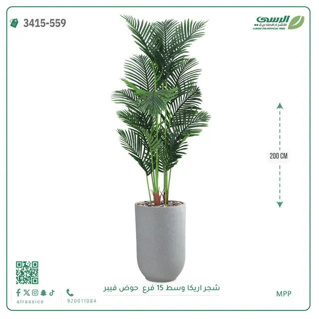  شجرة أريكا صناعية 15 فرع (ارتفاع 200 سم) حوض فيبر 