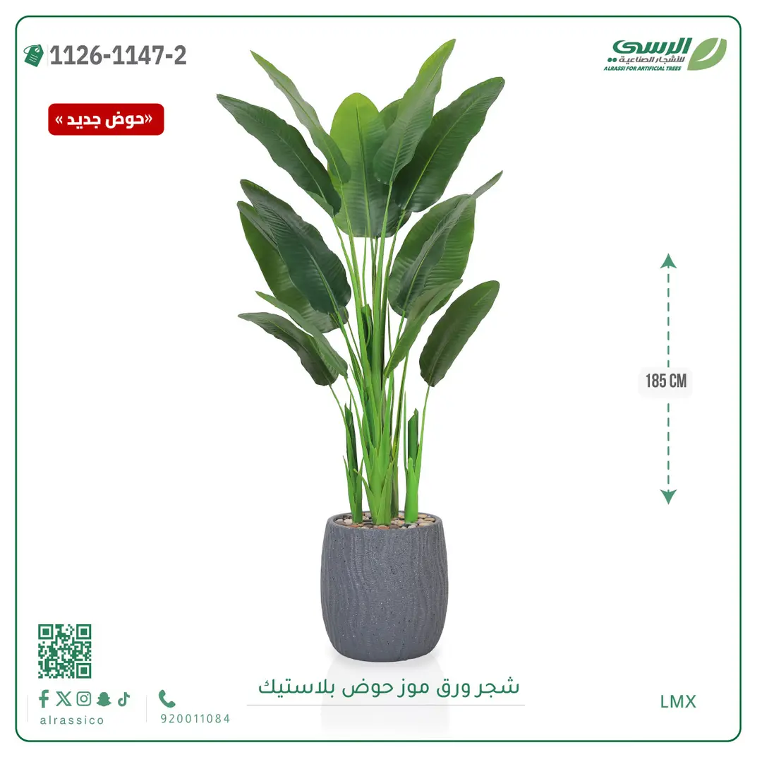  شجرة موز صناعية ( ارتفاع 185 سم ) حوض بلاستيك 