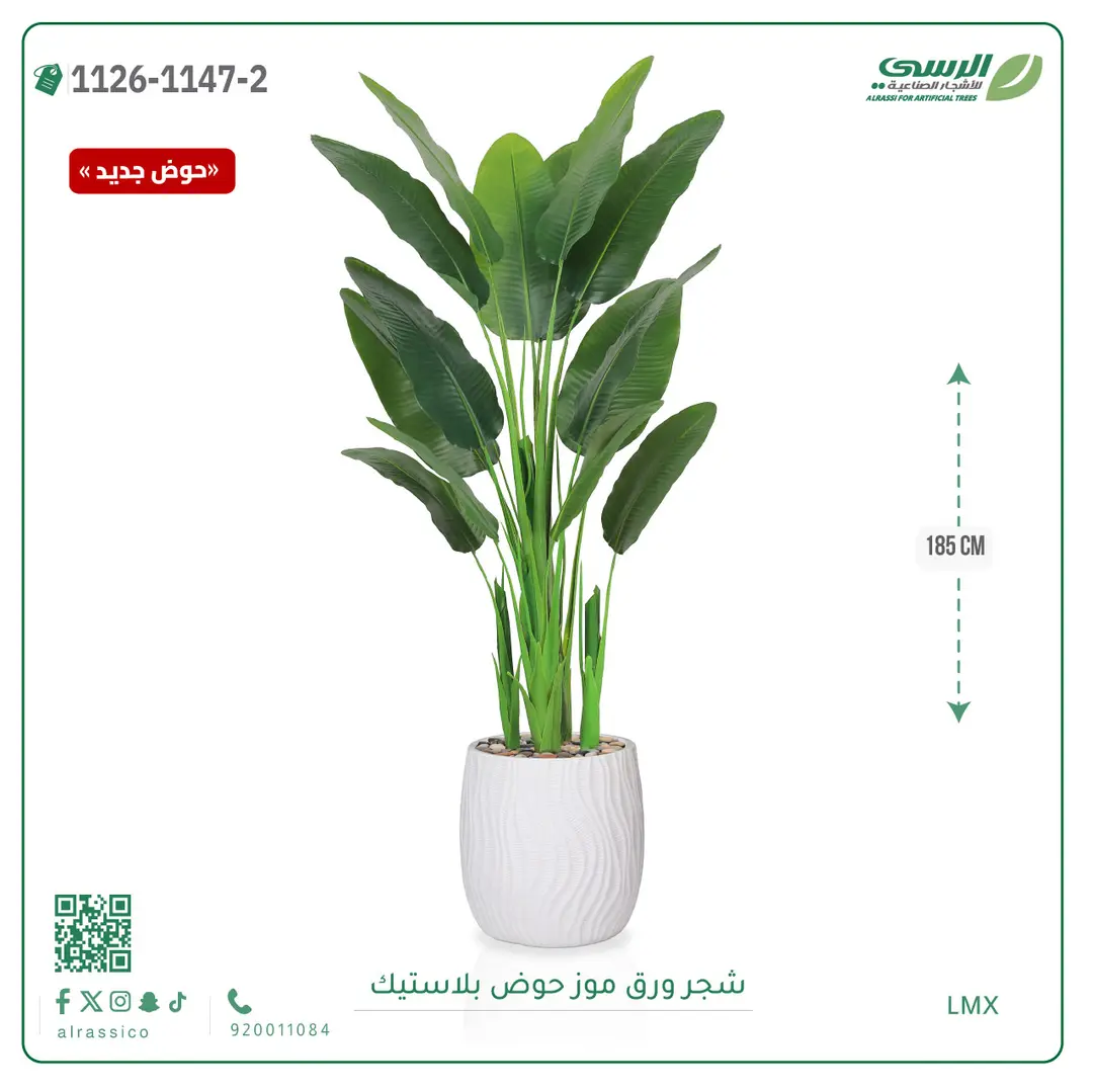  شجرة موز صناعية ( ارتفاع 185 سم ) حوض بلاستيك 
