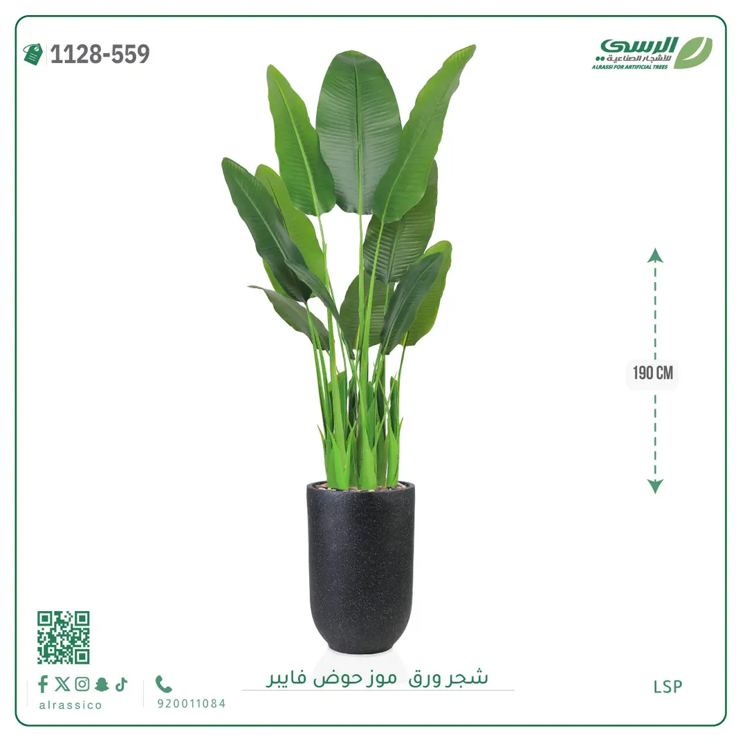  شجرة موز صناعية ( ارتفاع 190 سم ) حوض فيبر 
