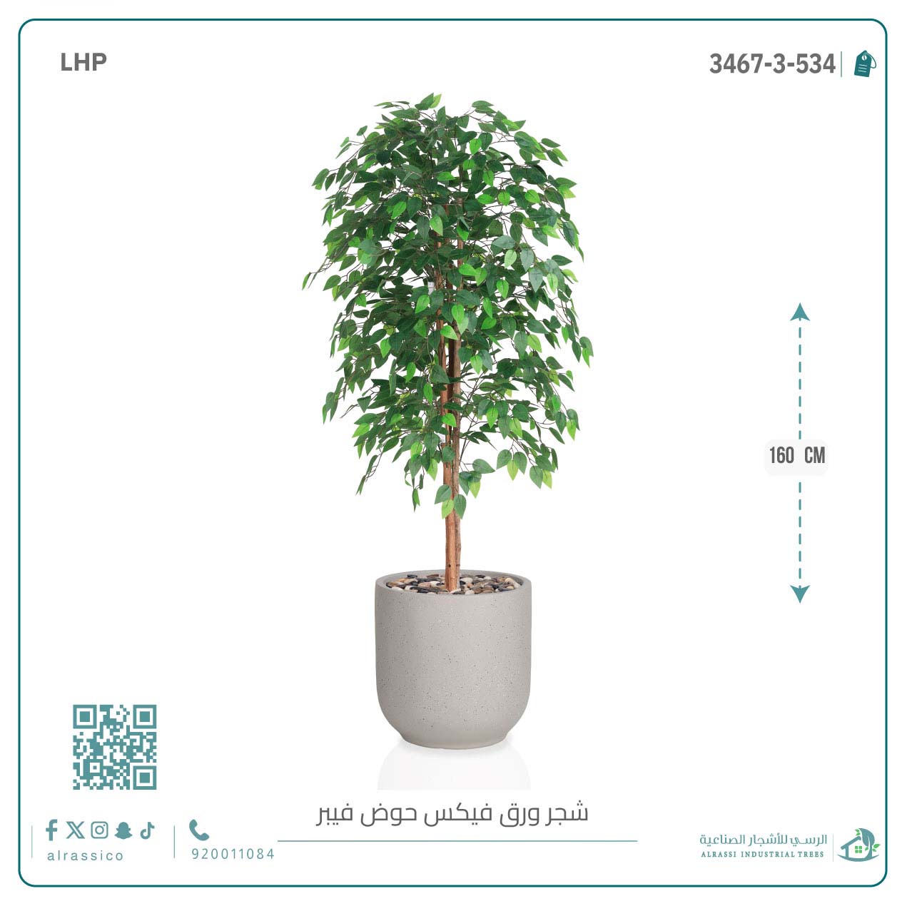  شجرة ورق فيكس اصطناعية بمركن فيبر أسطواني 
