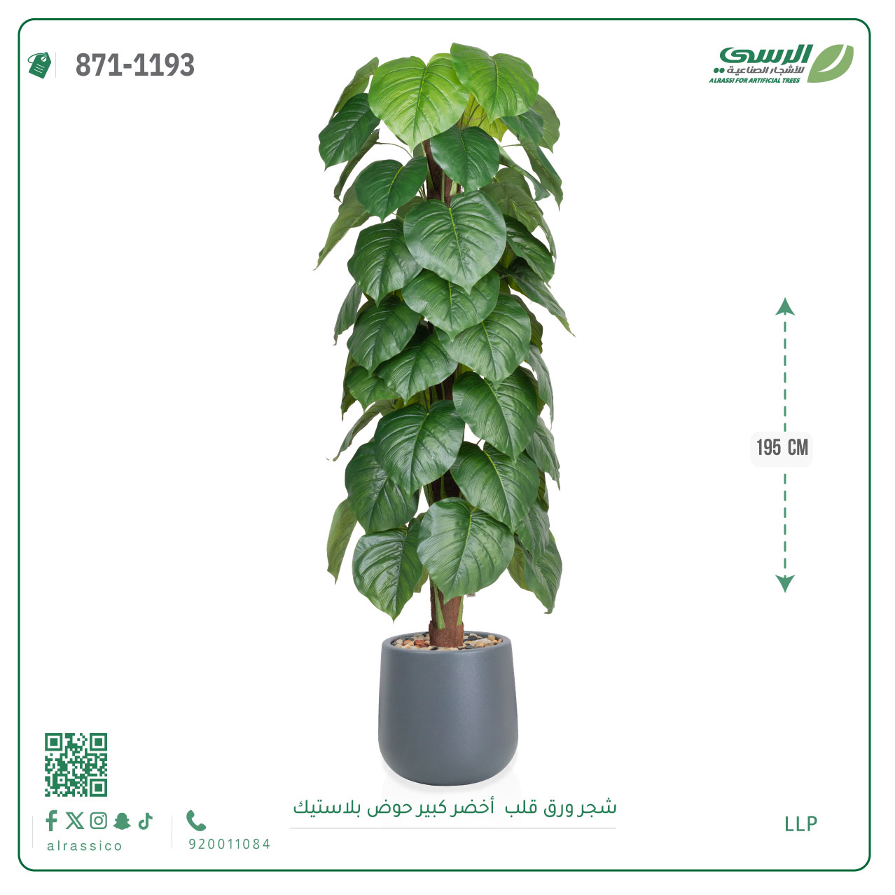 شجرة ورق قلب(ألوكاسيا) اصطناعية ( ارتفاع 195 سم ) حوض بلاستيك 