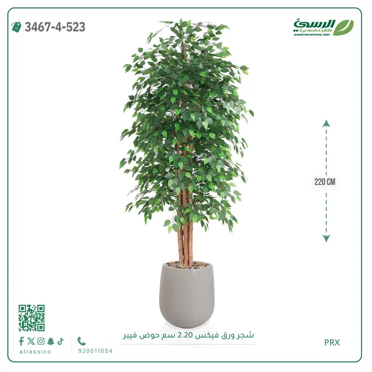  شجر فيكس صناعية (ارتفاع 220 سم) حوض فيبر 