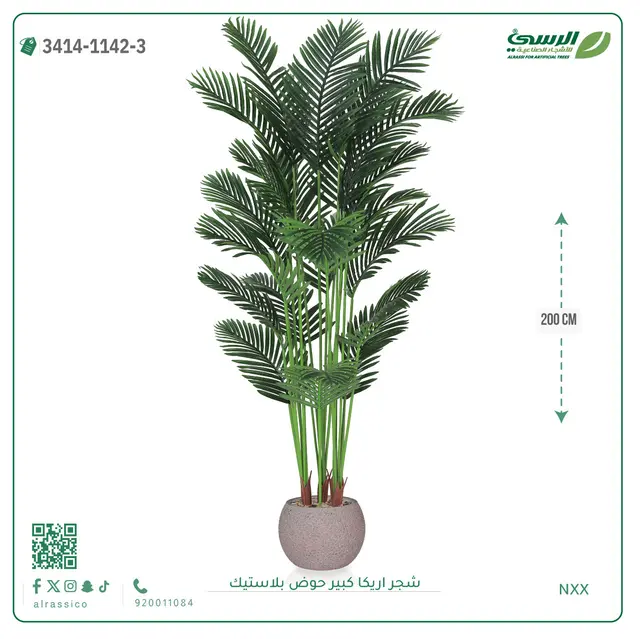  شجر أريكا صناعية ( ارتفاع 200 سم ) حوض بلاستك 
