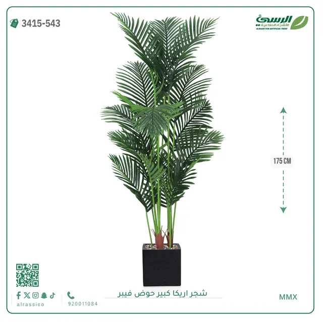  شجر أريكا صناعية ( ارتفاع 175 سم ) حوض فيبر 
