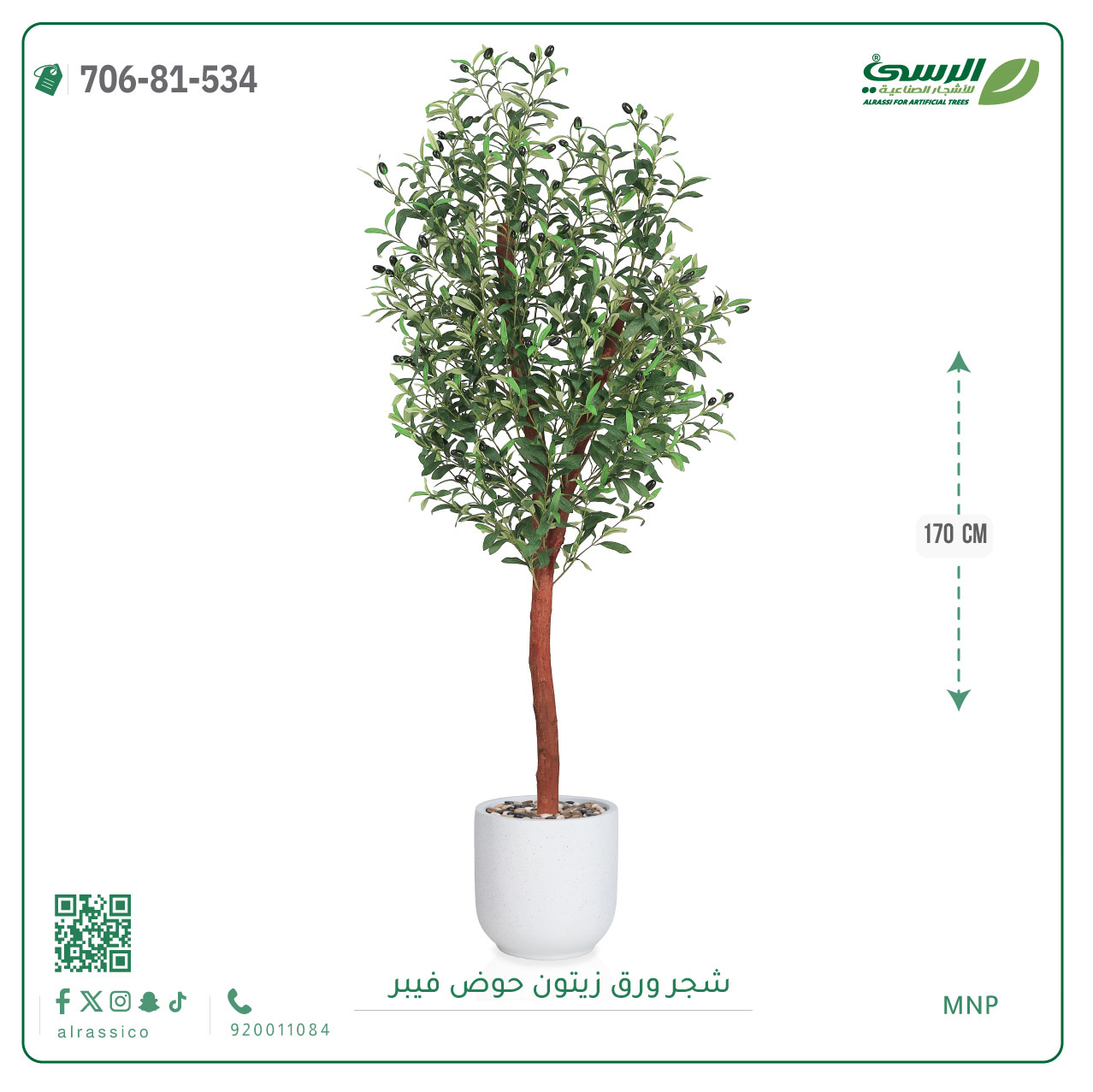  شجرة زيتون صناعية ( ارتفاع 170 سم ) حوض فيبر أسطواني 