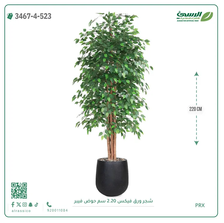  شجر فيكس صناعية (ارتفاع 220 سم) حوض فيبر 