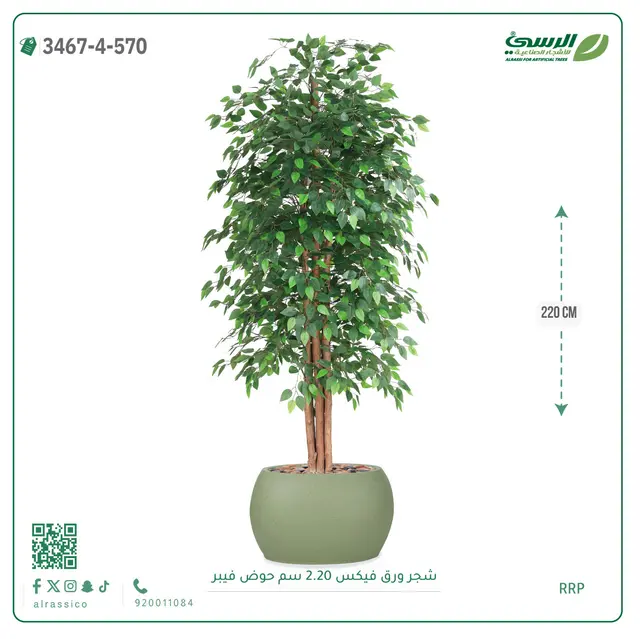  شجر فيكس صناعية (ارتفاع 220 سم) حوض فيبر 