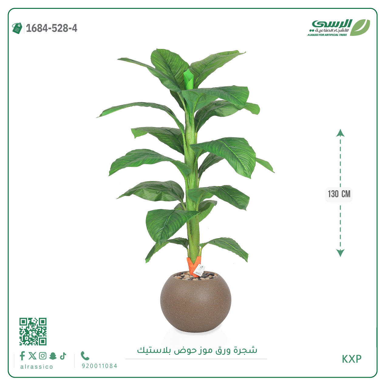  شجرة ورق موز متوسطة بمركن بلاستيك دائرى  