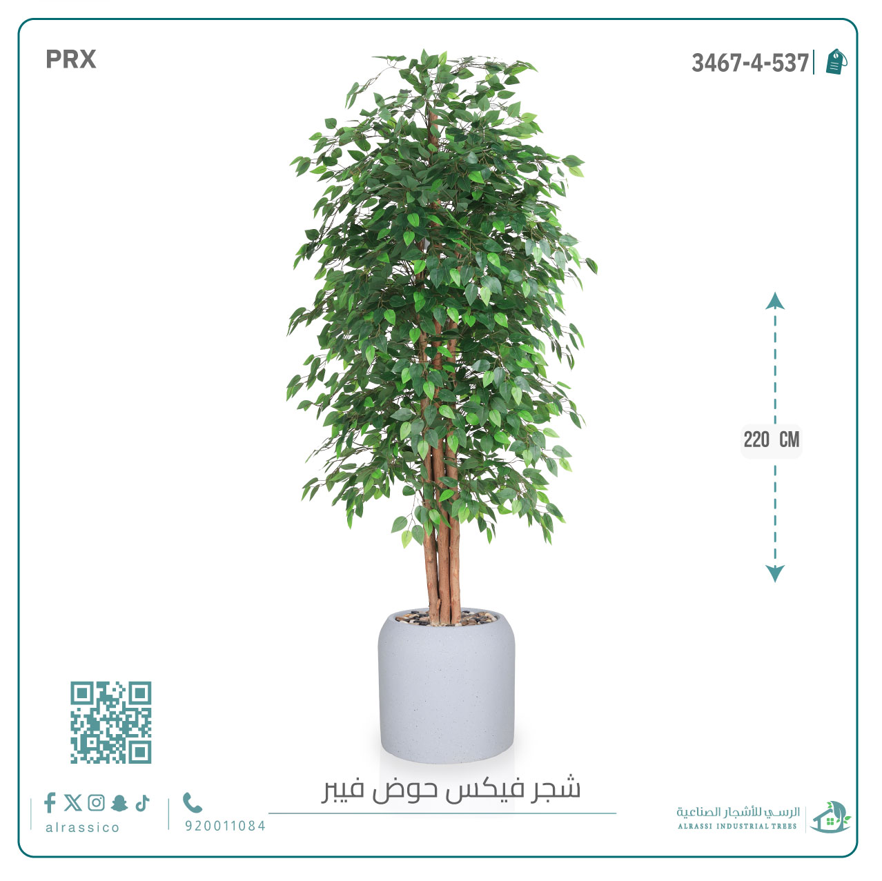  شجرة ورق فيكس اصطناعية بمركن فيبر  أسطواني 