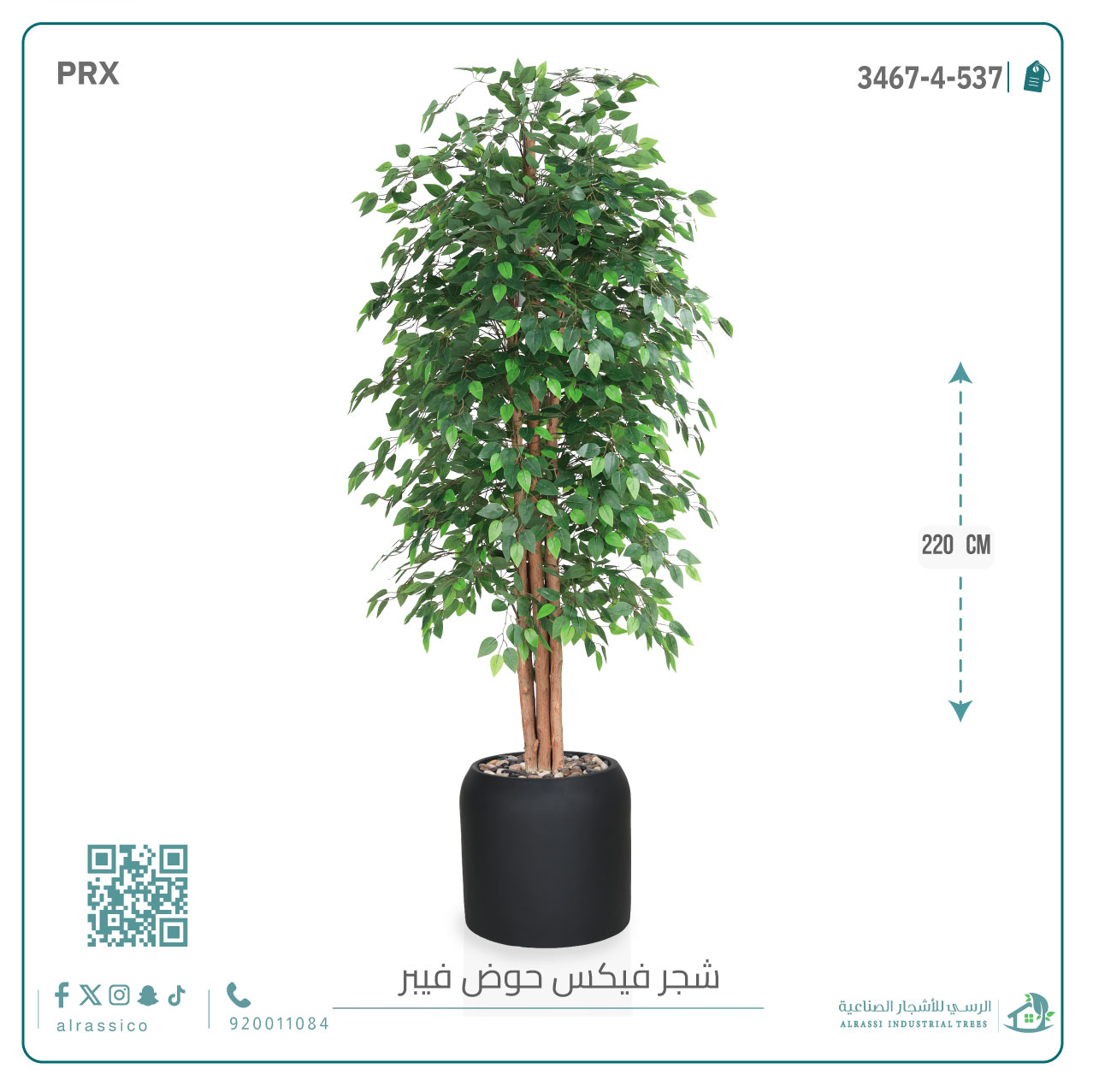  شجرة ورق فيكس اصطناعية بمركن فيبر  أسطواني 