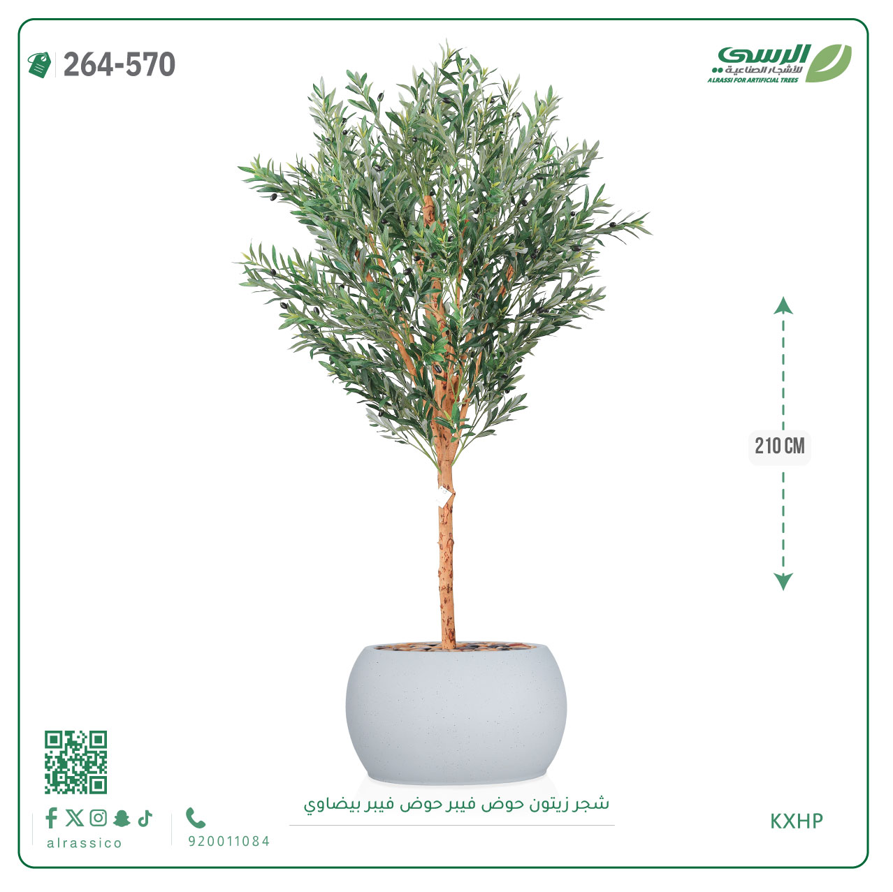  شجرة زيتون اصطناعية ( ارتفاع 210 سم ) حوض فيبر بيضاوي 