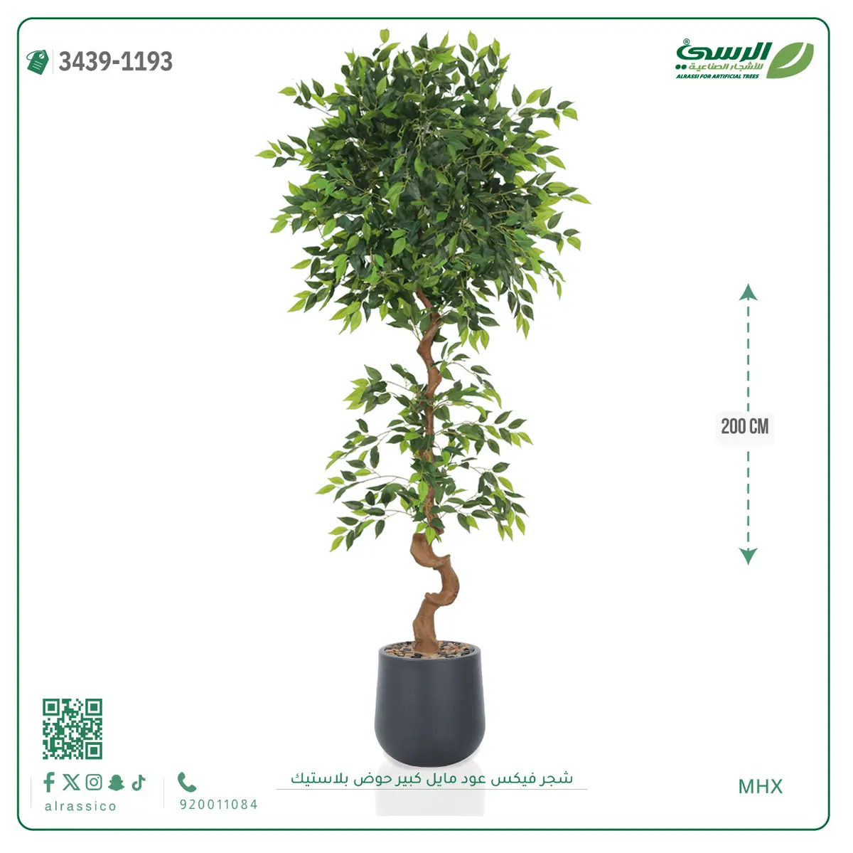  شجرة فيكس صناعية عود مائل (ارتفاع 200 سم) حوض بلاستيك 