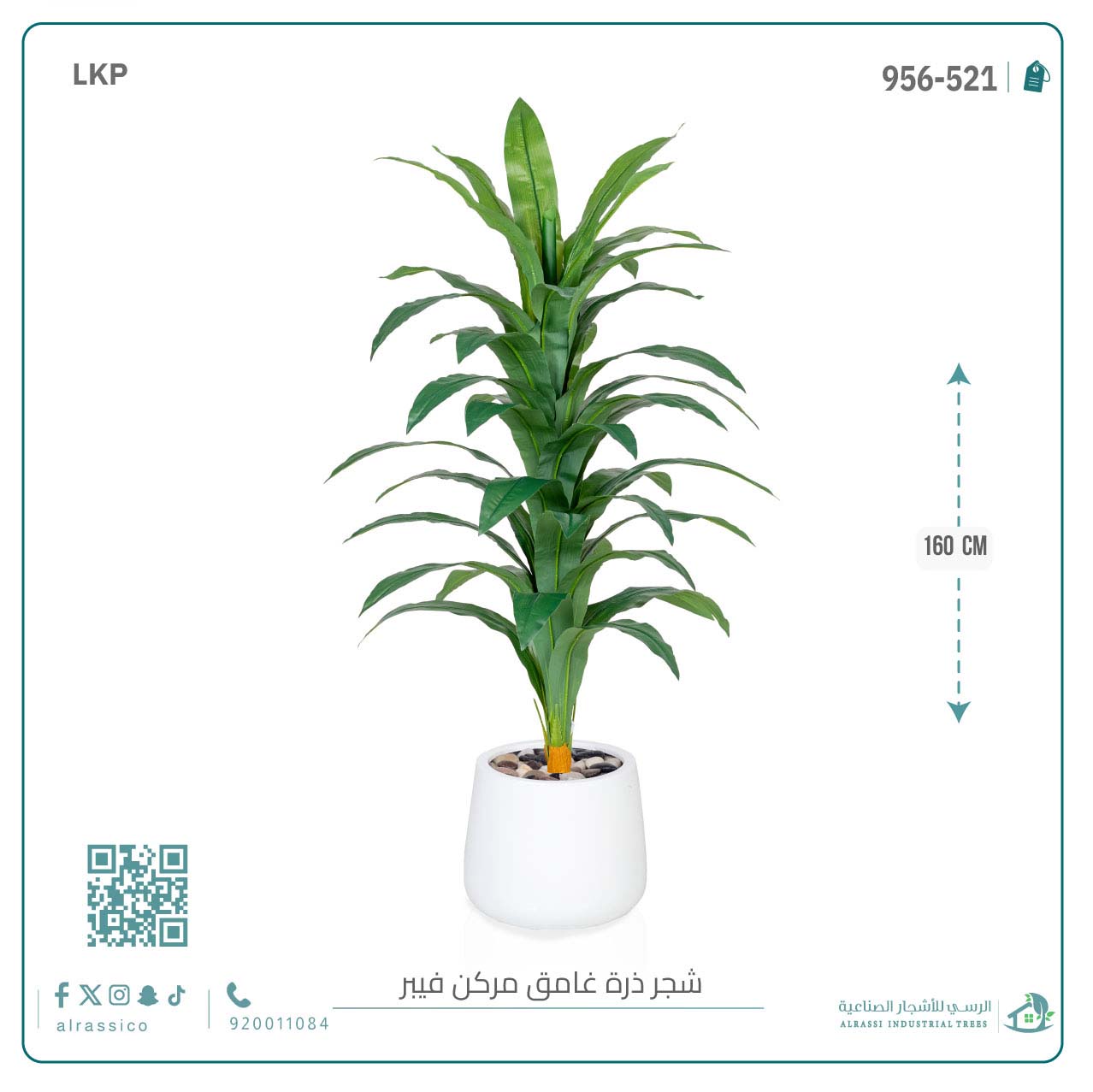  شجرة نبات الذرة (دراسينا) الاصطناعية بمركن فيبر بيضاوى 