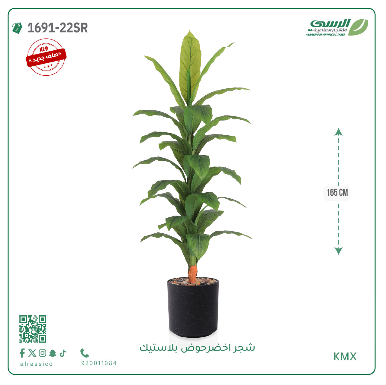  شجرة ورق أخضر وسط بمركن بلاستيك أسطواني 