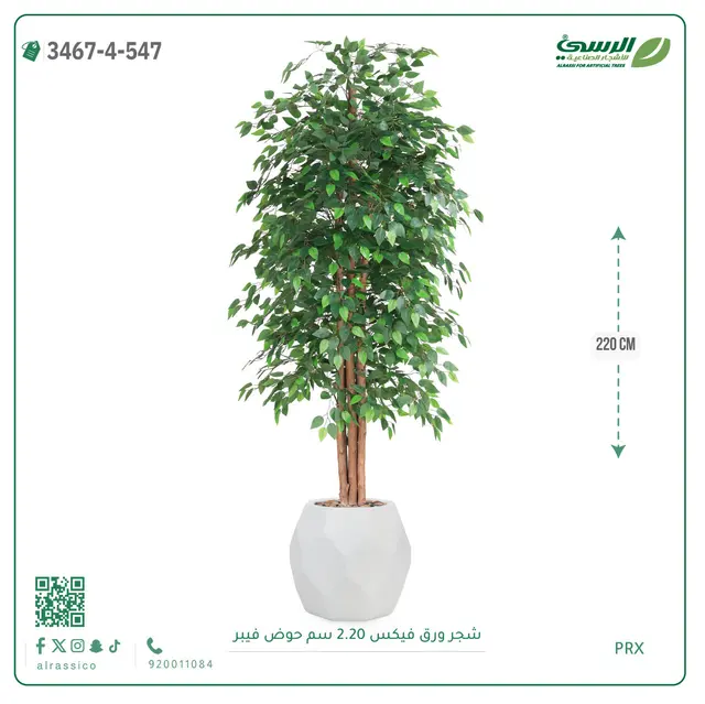  شجر فيكس صناعية (ارتفاع 220 سم) حوض فيبر 
