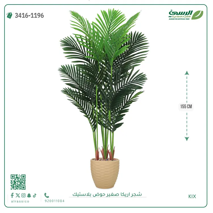  شجر أريكا صناعية ( ارتفاع 155 سم ) حوض بلاستك 