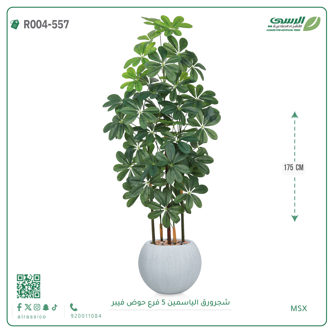  شجرة ورق ياسمين صناعية ( ارتفاع 175 سم ) حوض فيبر مقلم 