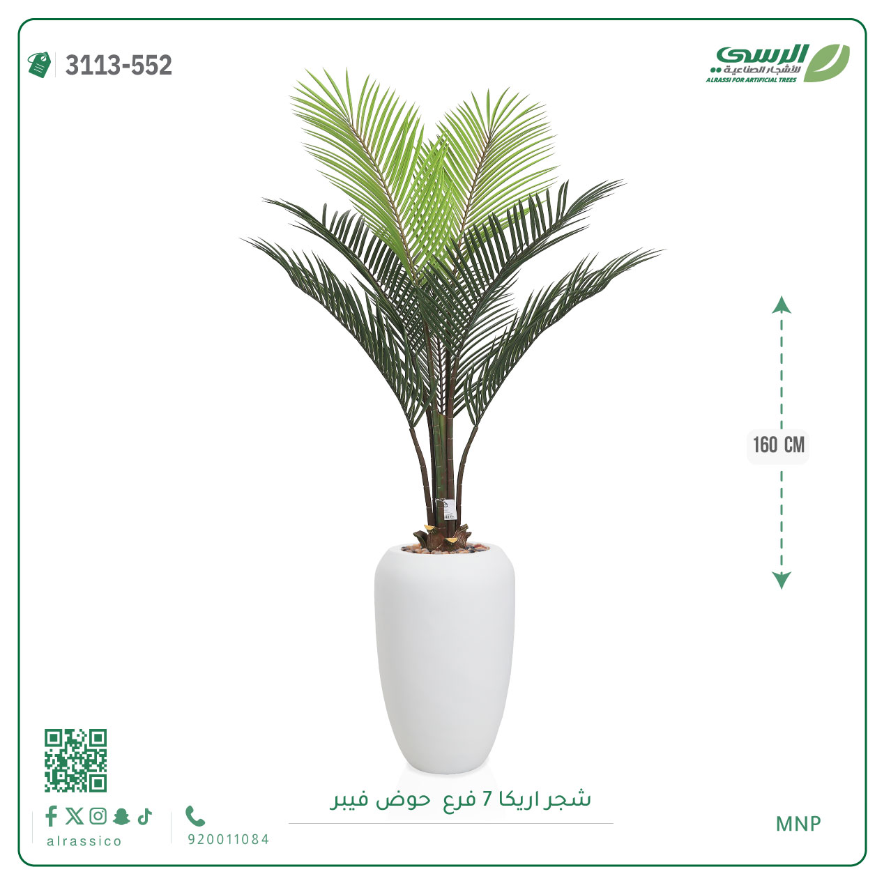  شجر أريكا (7 فروع) بارتفاع (160)بمركن فيبر أسطواني 