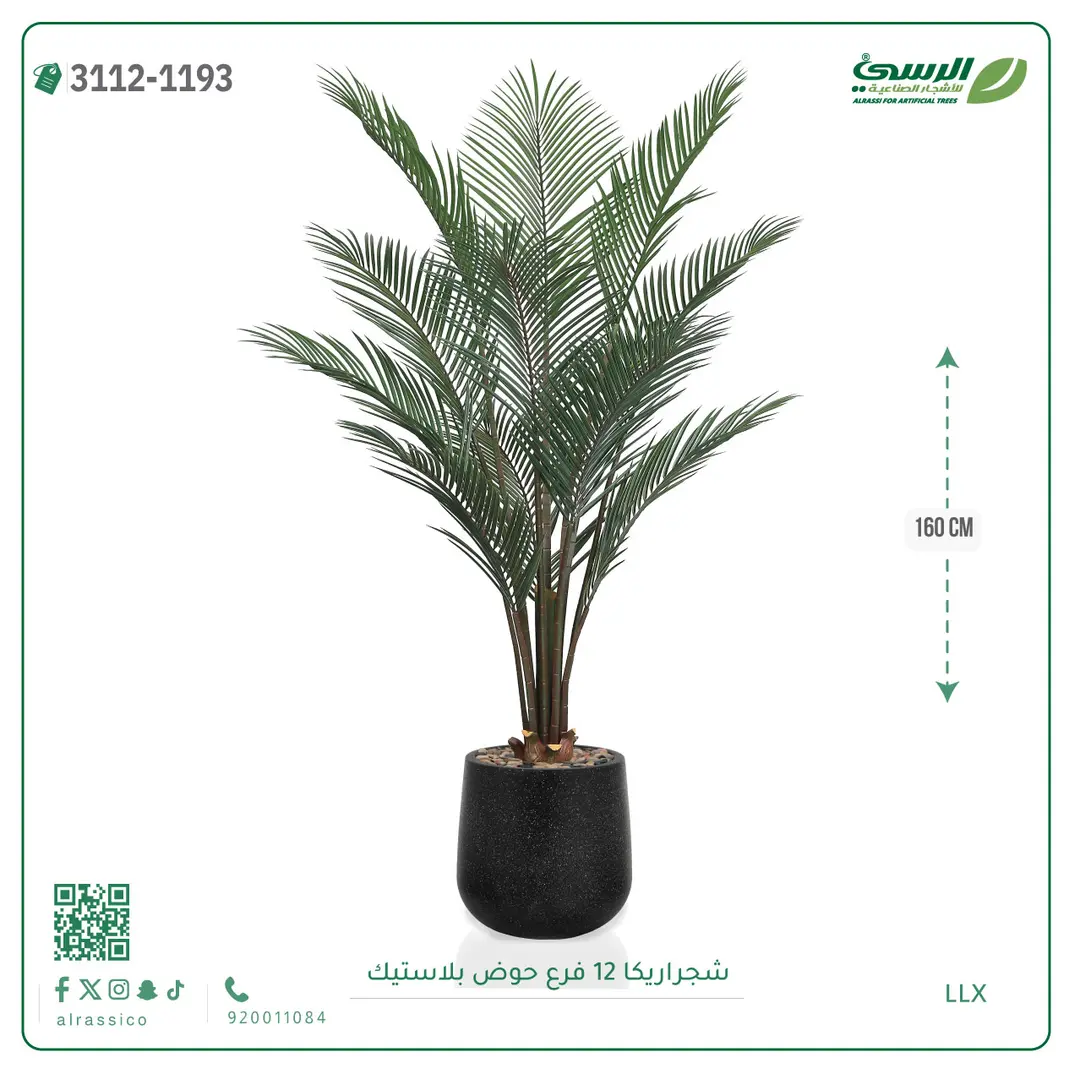  شجرة أريكا صناعية 12 فرع (ارتفاع 160 سم) حوض بلاستيك 