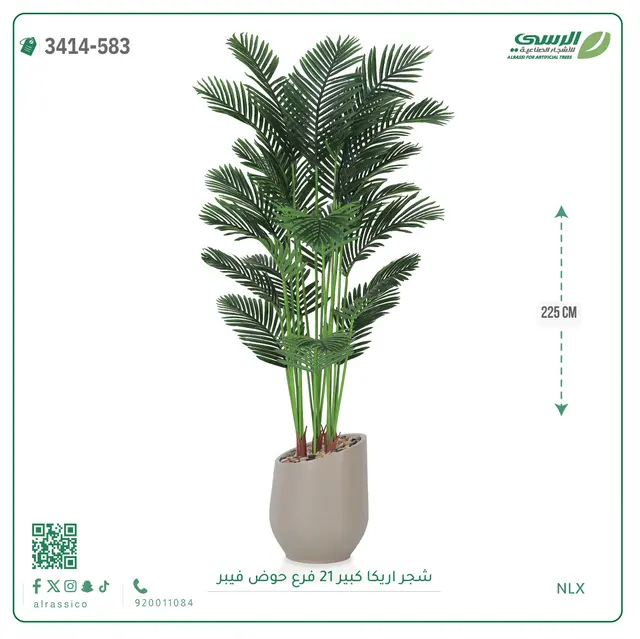  شجرة أريكا صناعية 21 فرع (ارتفاع 225 سم) حوض فيبر 